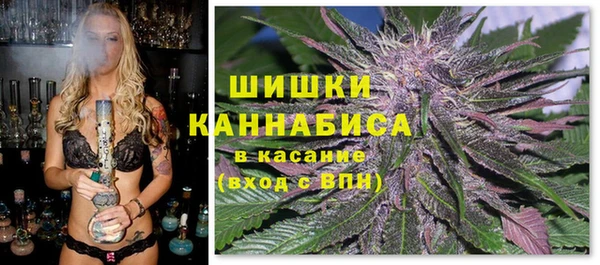 мдпв Нязепетровск
