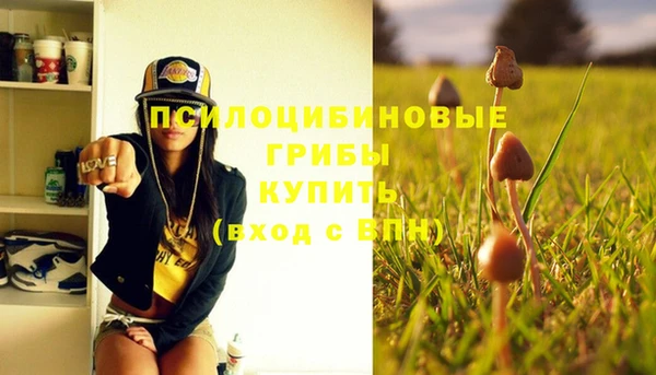 синтетический гашиш Нефтекумск