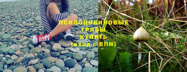 прущие крисы Новокубанск