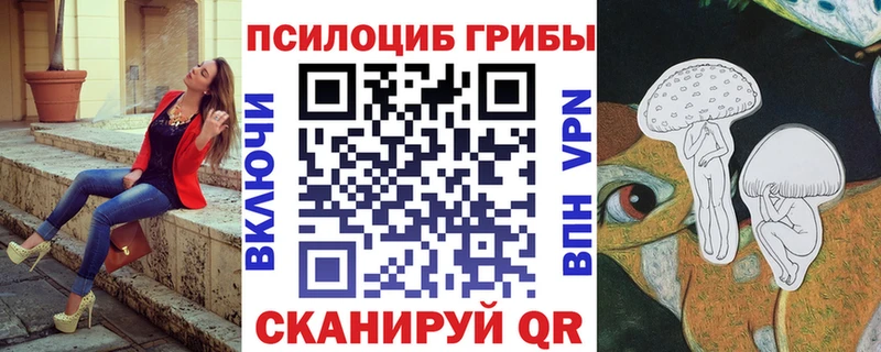 Псилоцибиновые грибы мицелий  наркотики  Курлово 